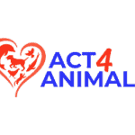 ACT 4 Animal